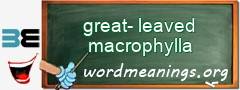 WordMeaning blackboard for great-leaved macrophylla